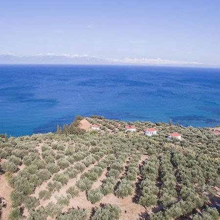 Вилла Κτήμα Παπαβασιλόπουλος 2 - Корони Экстерьер фото